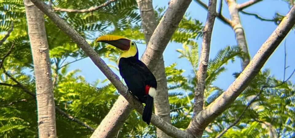 Scenic view of Manuel Antonio coastline during park tour