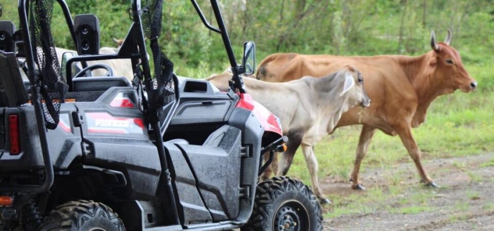Group enjoying Manuel Antonio ATV adventure in the jungle