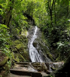 Rainmaker Park Adventure