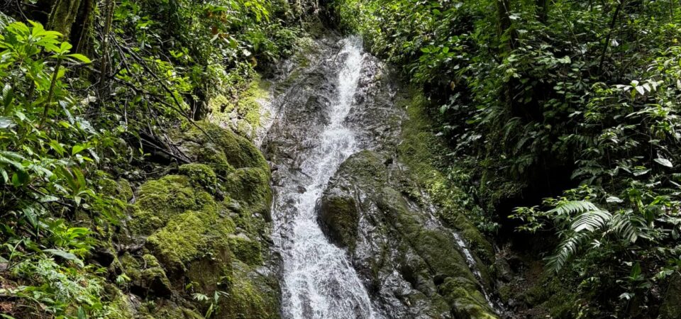 Rainmaker Park Adventure rainforest trails and hanging bridges in Costa Rica