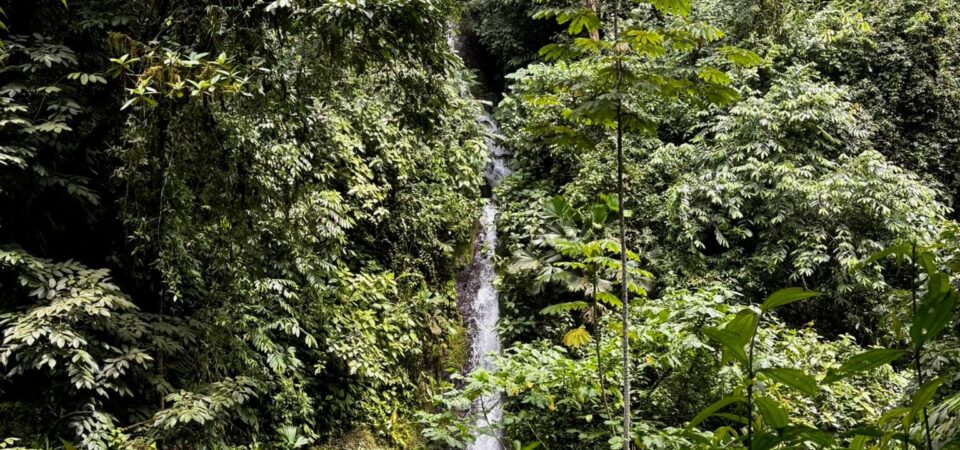 Rainmaker Park Adventure rainforest trails and hanging brigdes in Costa Rica