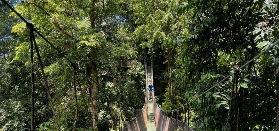 Rainmaker Park Adventure rainforest trails and hanging brigdes in Costa Rica
