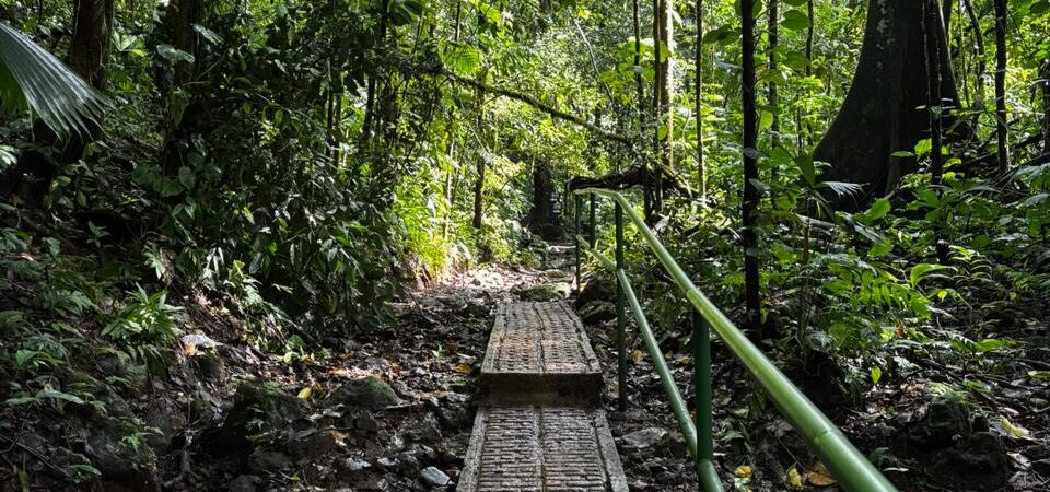 Rainmaker Park Adventure rainforest trails and hanging brigdes in Costa Rica